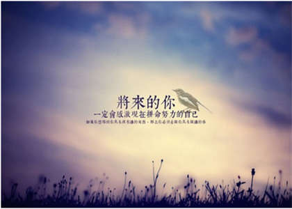 西北农林科技大学考研资讯